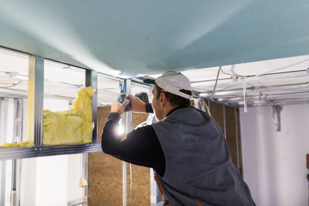 Best Fiberglass Insulation  in Massapequa, NY