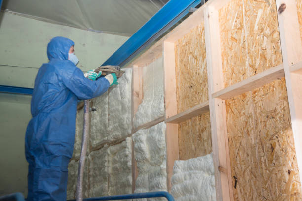 Best Garage Insulation Installation  in Massapequa, NY