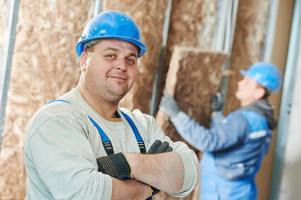 Best Insulation Inspection Services  in Massapequa, NY